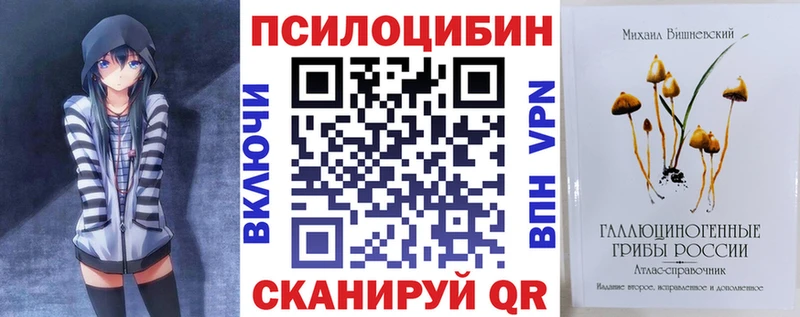 MEGA tor  Миасс  Псилоцибиновые грибы мицелий 
