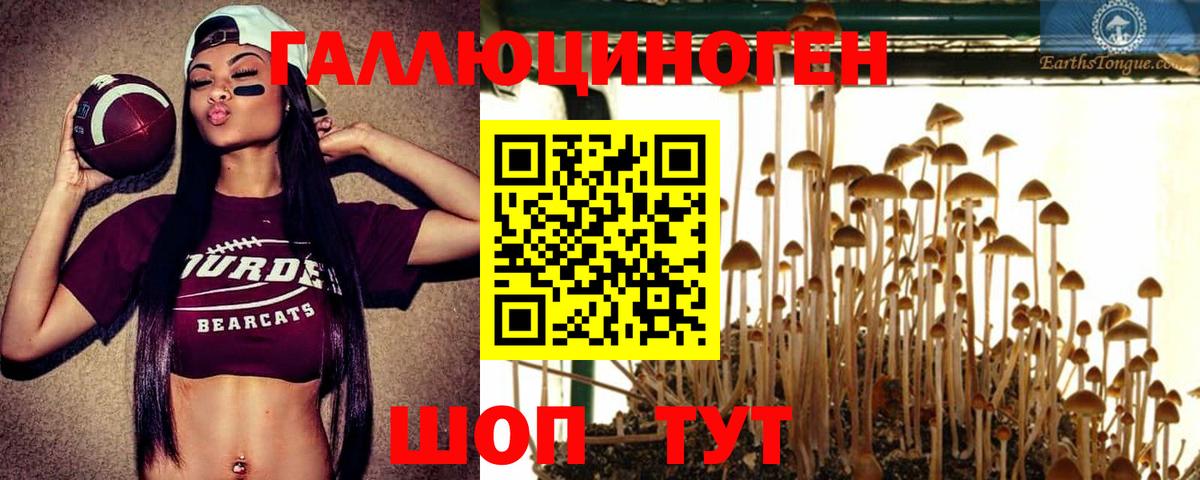 Миасс  Псилоцибиновые грибы ЛСД  Вход с VPN  Псилоцибиновые грибы Psilocybine cubensis 